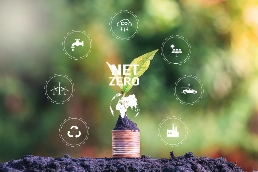Net-zero